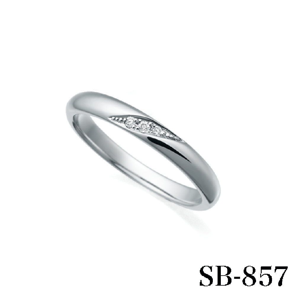 【Will】 ウィル SB-858 SB-857【ダイア】 PT950 Something Blue